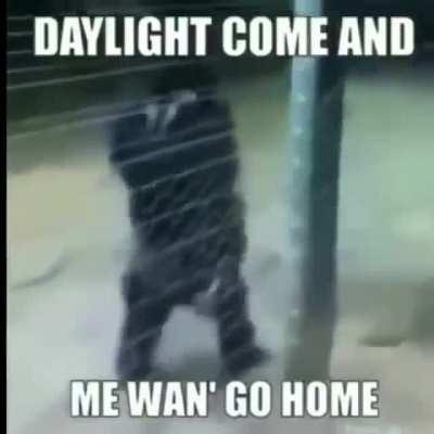 Me wan’ go home