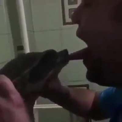 Messing with the turtle