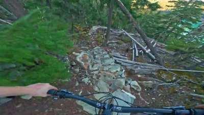 The Thing // Whistler B.C.