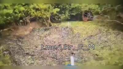 Russian fiber-optic drones strike a Ukrainian D-30 howitzers position - Seversky