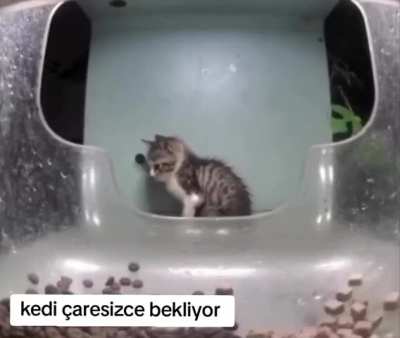 3 gündür yayın yok