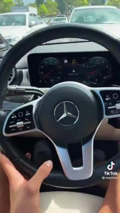 Sir please stop molesting the steering wheel