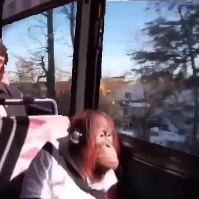 Riding the train back home for Christmas vibes