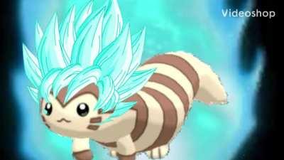 Furret has a annnoucement.