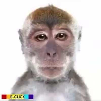 Chascarrillo😂😂😂😂😂😂👌🏻👌🏻👌🏻👌🏻