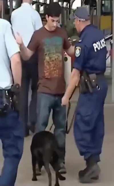 SLPT: Sausage in pants will distract drug-sniffing dogs so you can smuggle all drugs safely