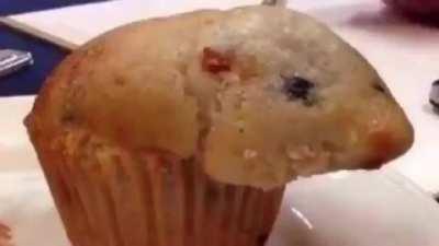Cursed_muffin
