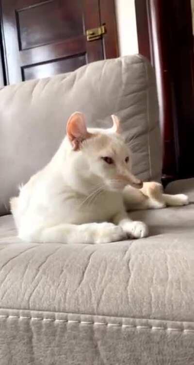 I find this a little scary