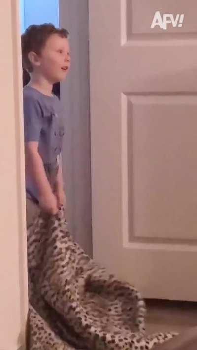 Phenomenal magic trick