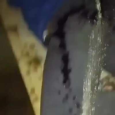 MoaiGreddit - Video #7984