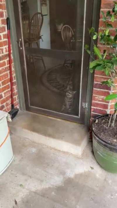 Someone Wanted to Help with the Yardwork