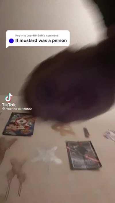 Mustard is 0 calories but 100 mad