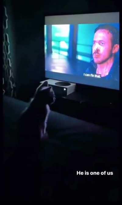 YOU LOOK LONELY 🗣️🥱🥱🔥🔥 I CAN FIX THAT 🗣️🔇🔇🤫🤫🔥🔥🔥