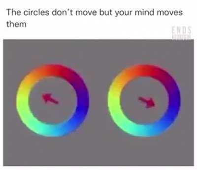 No u don’t, brain don’t! Stop it!