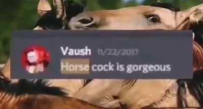 Ladies and gentlemen. Vaush.