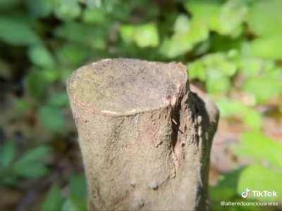 More realistic simulation of what trippings really like