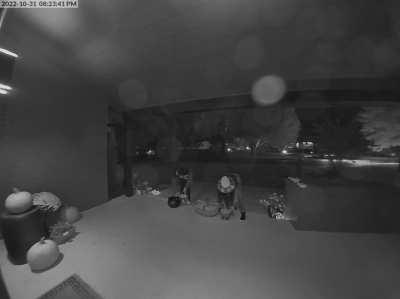 This is why we can’t have nice things.