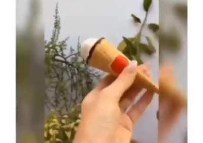 You want to eat icecream? 