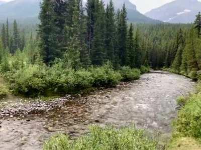 Smith-Dorrien Creek, Alberta, Canada [OC]