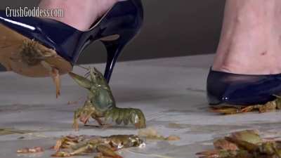 I love Marina 8.  Marina uses her high heels to skewer a crawfish's brain.
lots of crayfish
is trampled and killed by her.