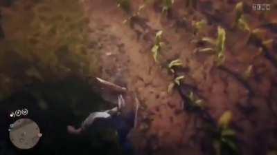 A small montage of some of me and my cousins most memorable moments.