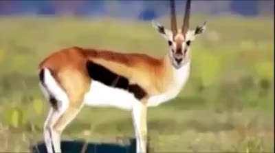 Concordo plenamente.