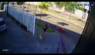 Drunk guy on bicycle