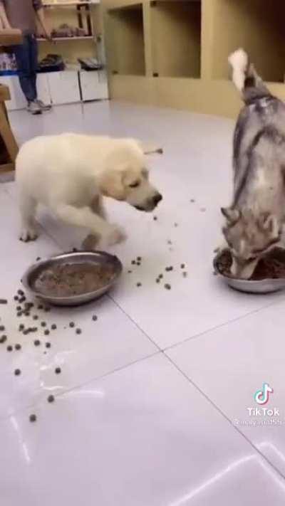 Yo cuando tengo ambre 😎