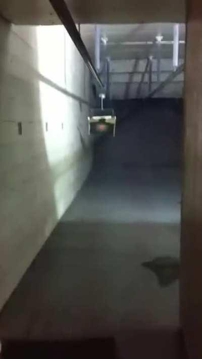 I’ve never seen someone act so confident and then proceed to fail so spectacularly