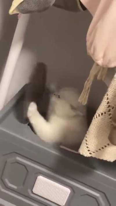 а ну иди сюда ублюдок, мать твою!...