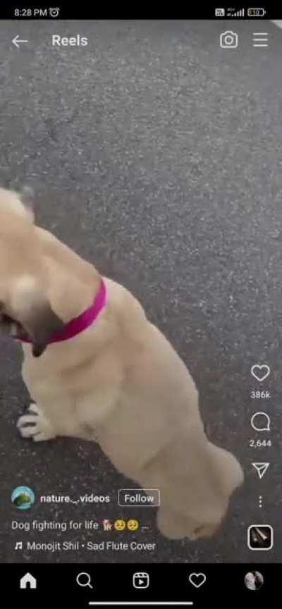 My explore is so wrong for this wtff