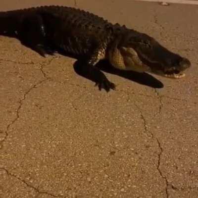 DoomerGvng - Video #7697