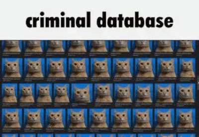 ssssddsffsggsffsfsggsfdgsgsgs