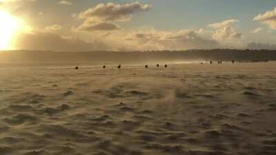 It was a windy day in San Diego