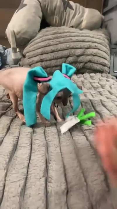 Everything can be a Miku