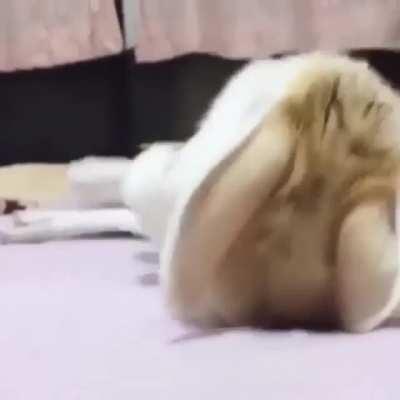 Serotonin levels📈📈