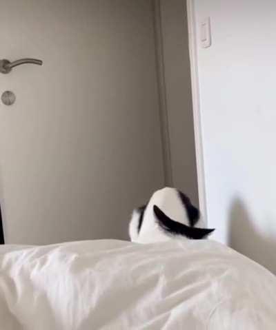 The Alarm Is Set For Derp o’clock