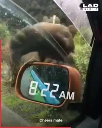 I see they added a new feature in this model