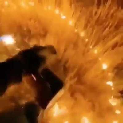 Pov:you are Australia