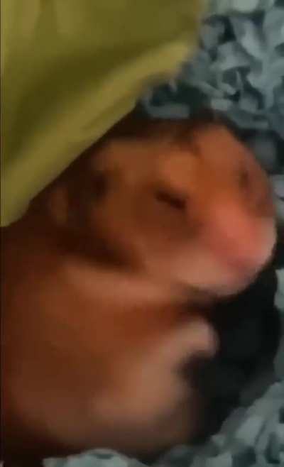 No peek, i’m asleep