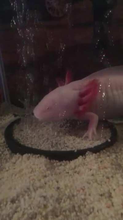 Going to the car wash, yeah