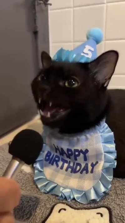 Smol interview with birthday void