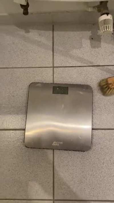 my scale broke as i weighed myself this morning...