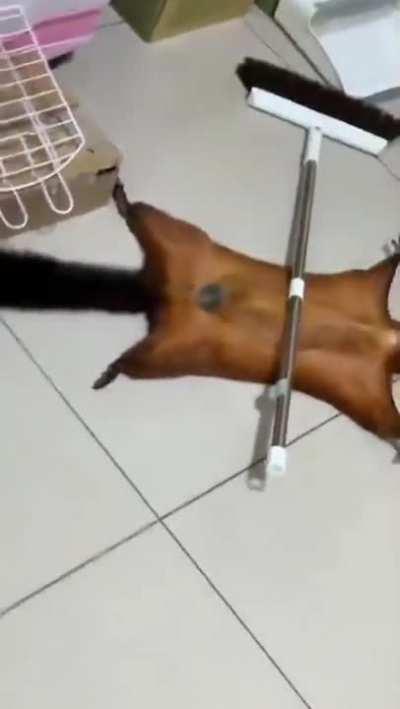 To fake an injury (humor)