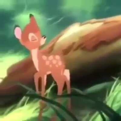 Car be like: vroom vroom