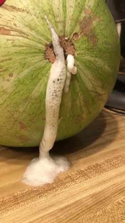 My Watermelon Started Foaming