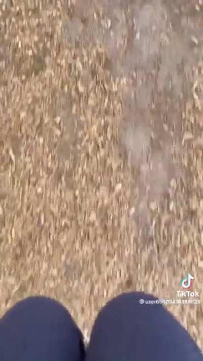 @user65909476386828 (formerly @penelope_739) #2