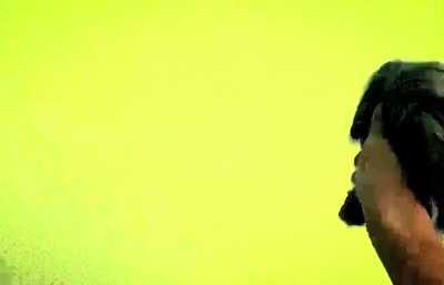 Literally every weapon animation video