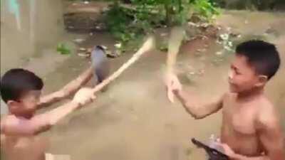 How I caption this Anubis fight each other?