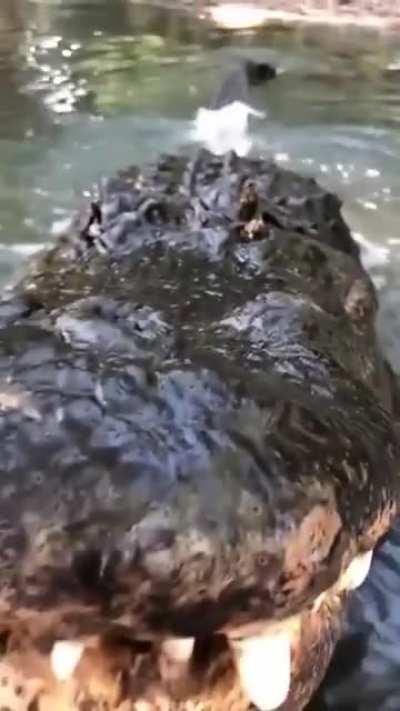 Don&rsquo;t go in the water